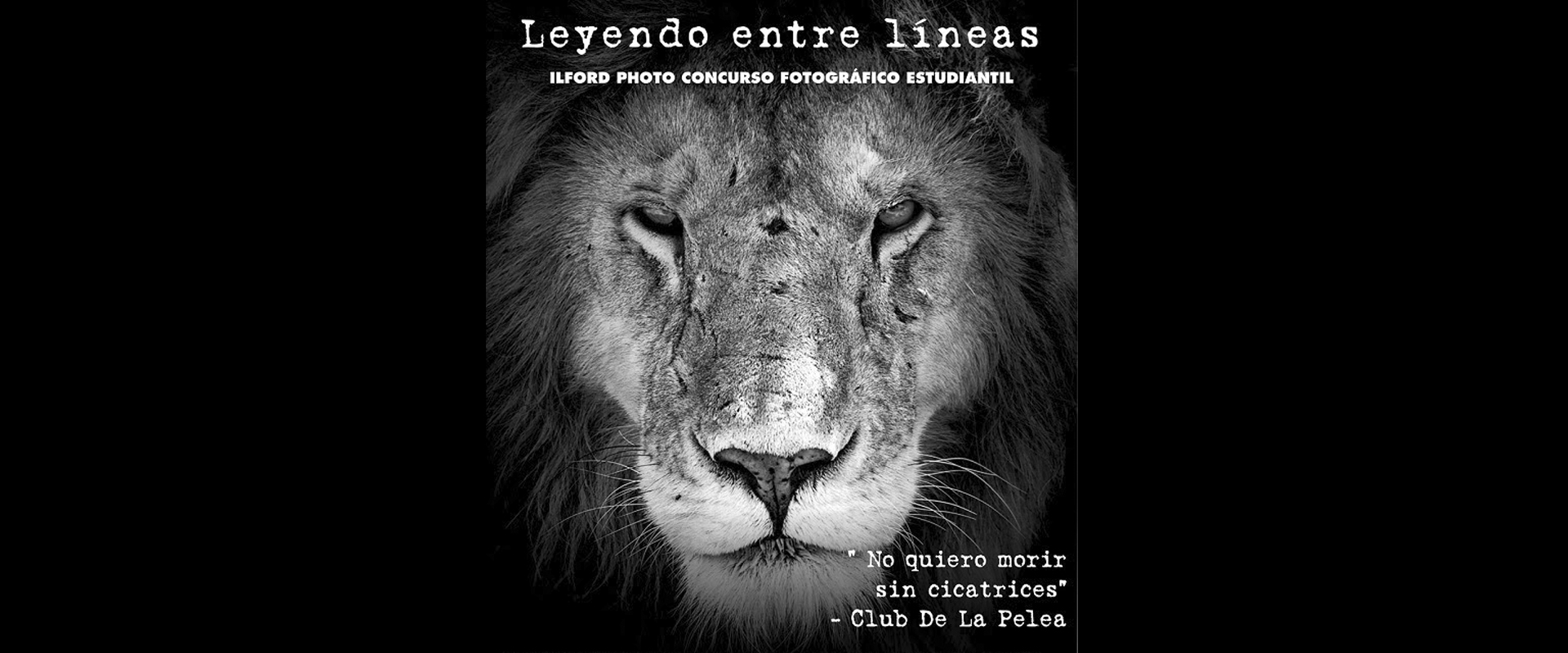 Concursos fotogr&aacute;fico estudiantil