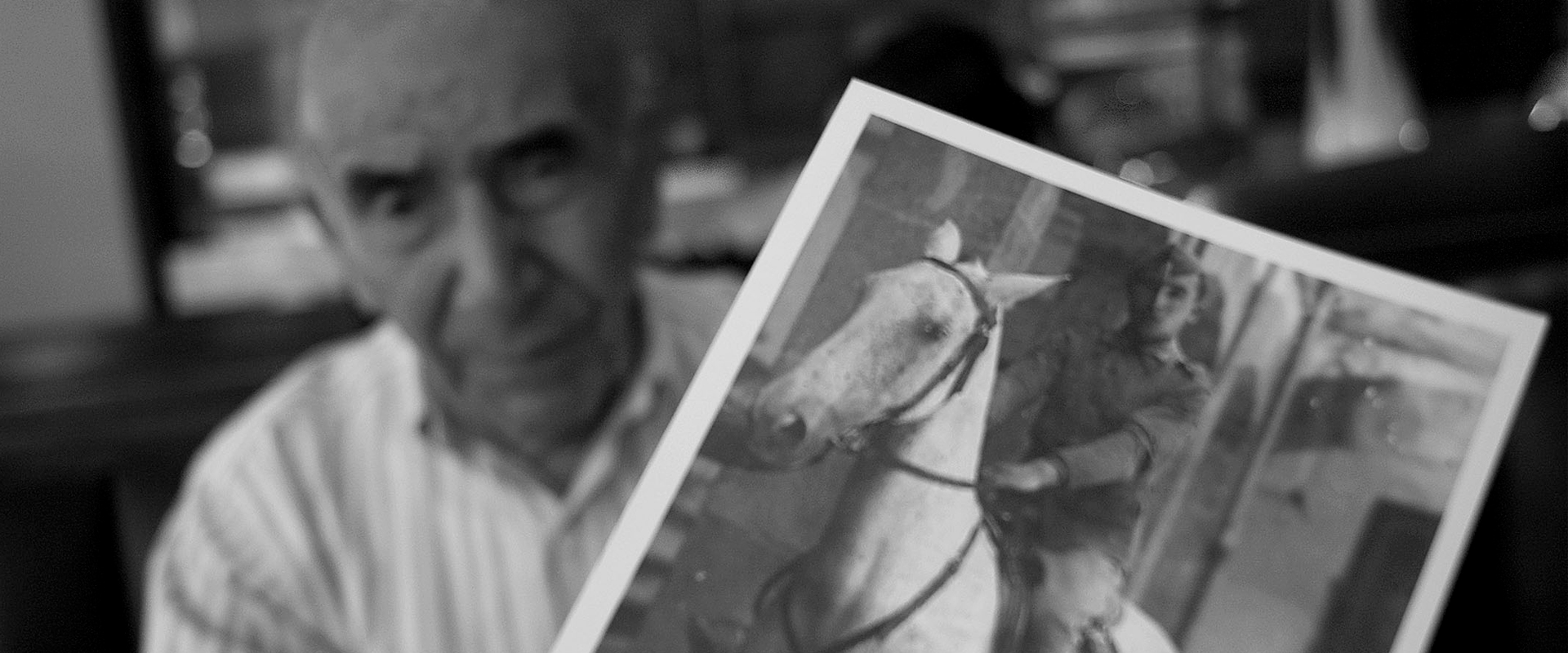 "Atravesados por la Guerra"