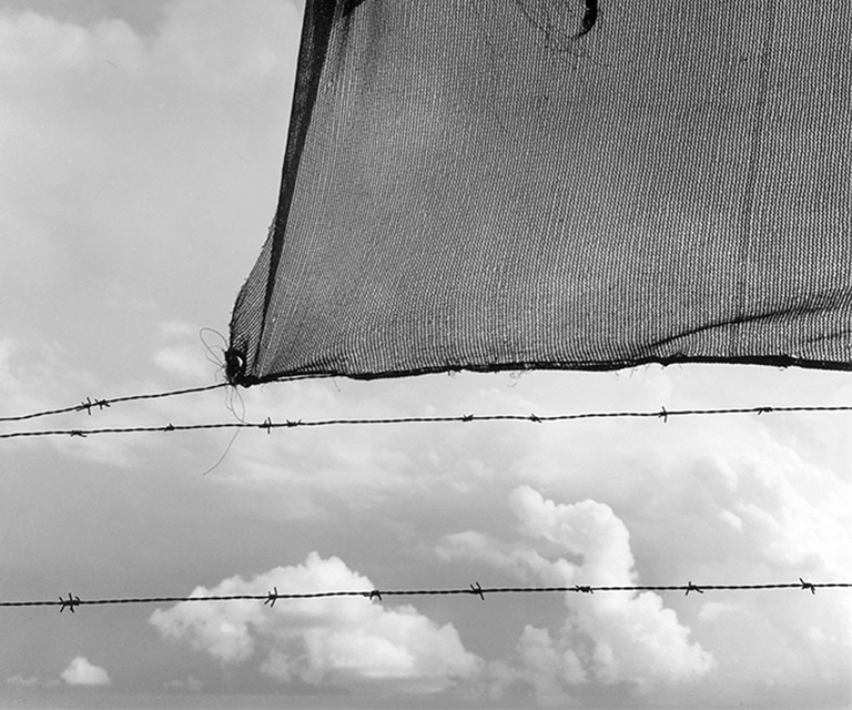 "La magia de lo real"