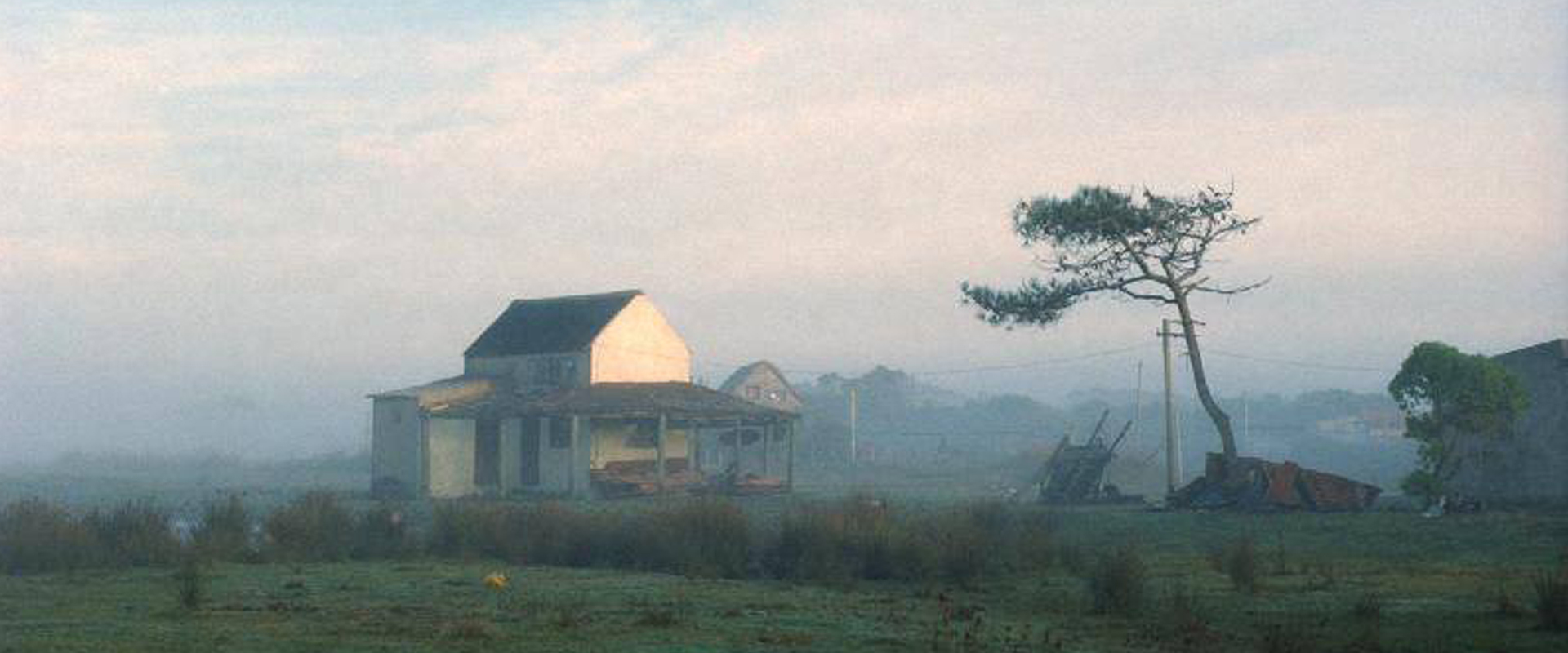 Fotos de la serie "Presencia"