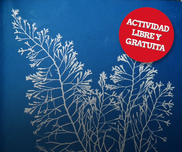 JORNADA DE FOTOGRAF&Iacute;A ANAL&Oacute;GICA