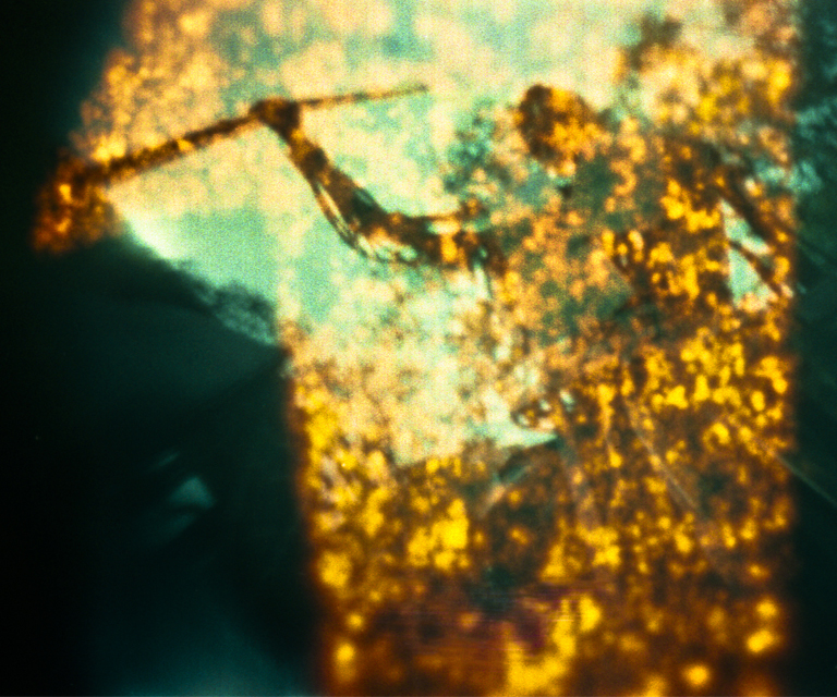 "El color que cay&oacute; del cielo (Arkham-ESMA)"