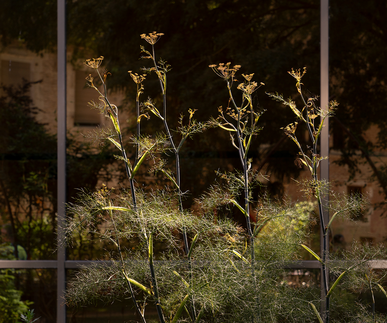 PASAJERO EN TR&Aacute;NSITO