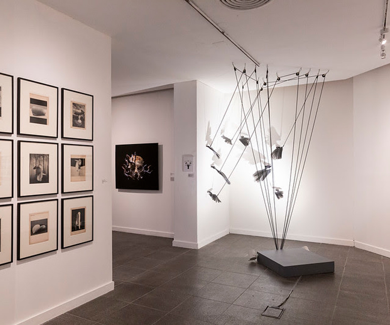 Premio Sal&oacute;n Nacional de Artes Visuales