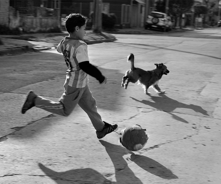 Muestra Fin de A&ntilde;o