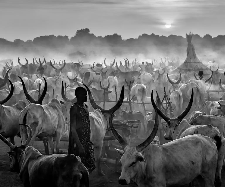 "Nilo Blanco" por Ana Robles