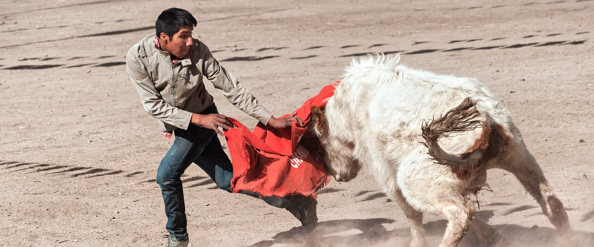 Inauguraci&oacute;n "Danza con Toros"