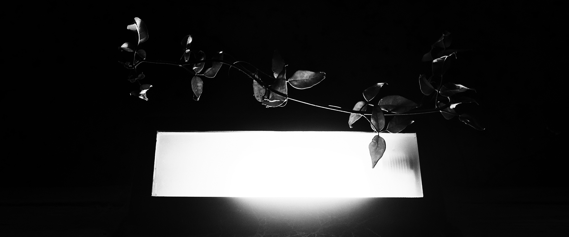 Las cosas que no pasan y son verdad