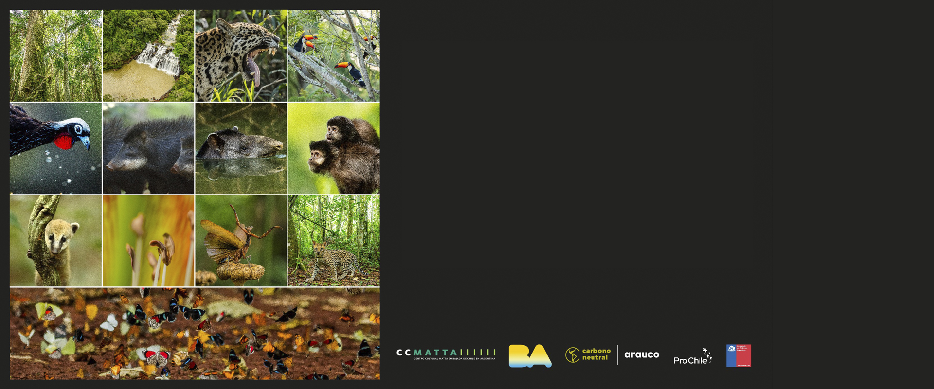 Muestra fotogr&aacute;fica a Cielo Abierto