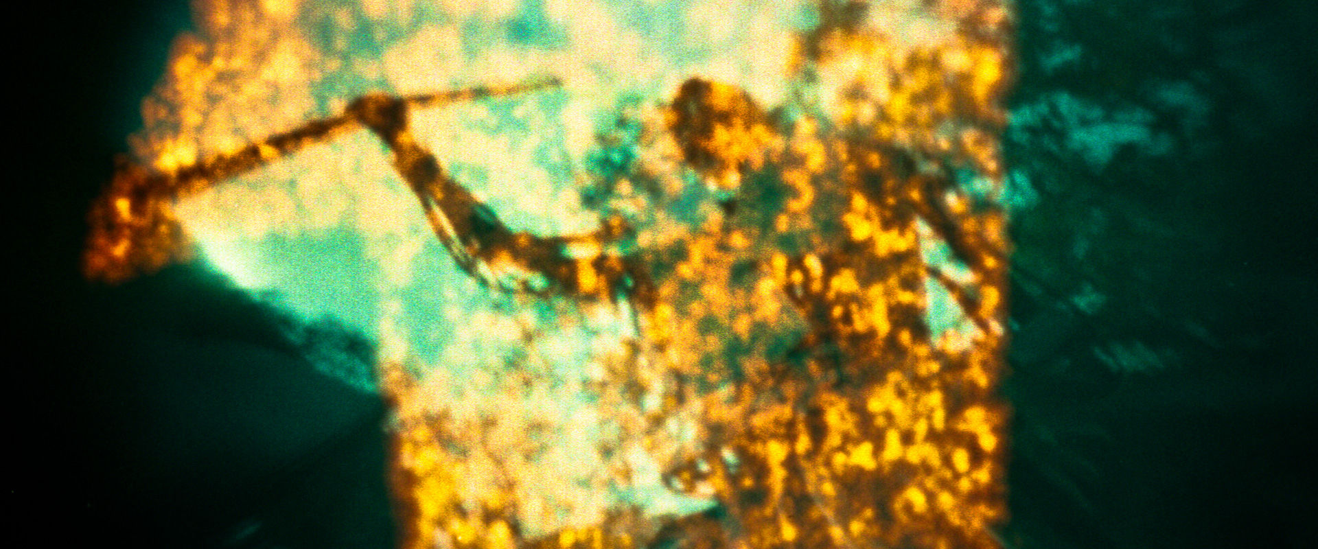 "El color que cay&oacute; del cielo (Arkham-ESMA)"