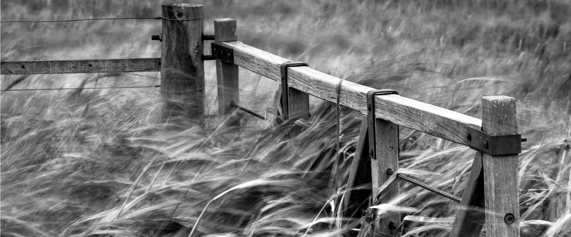 AEVUM - en blanco & negro