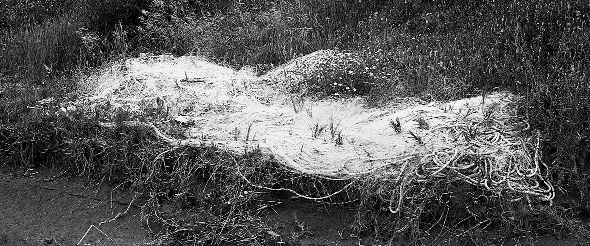 "El paraiso es un lugar y tambien el infierno"