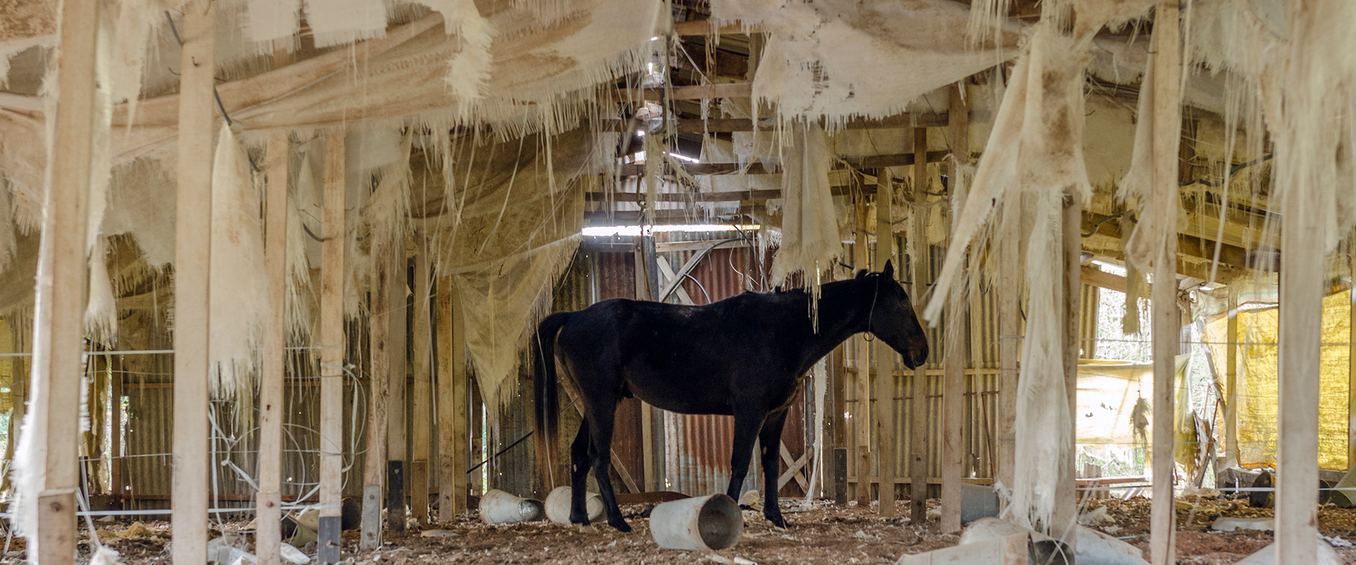 "Relatos Gauchescos"