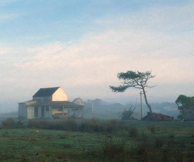 Fotos de la serie "Presencia"