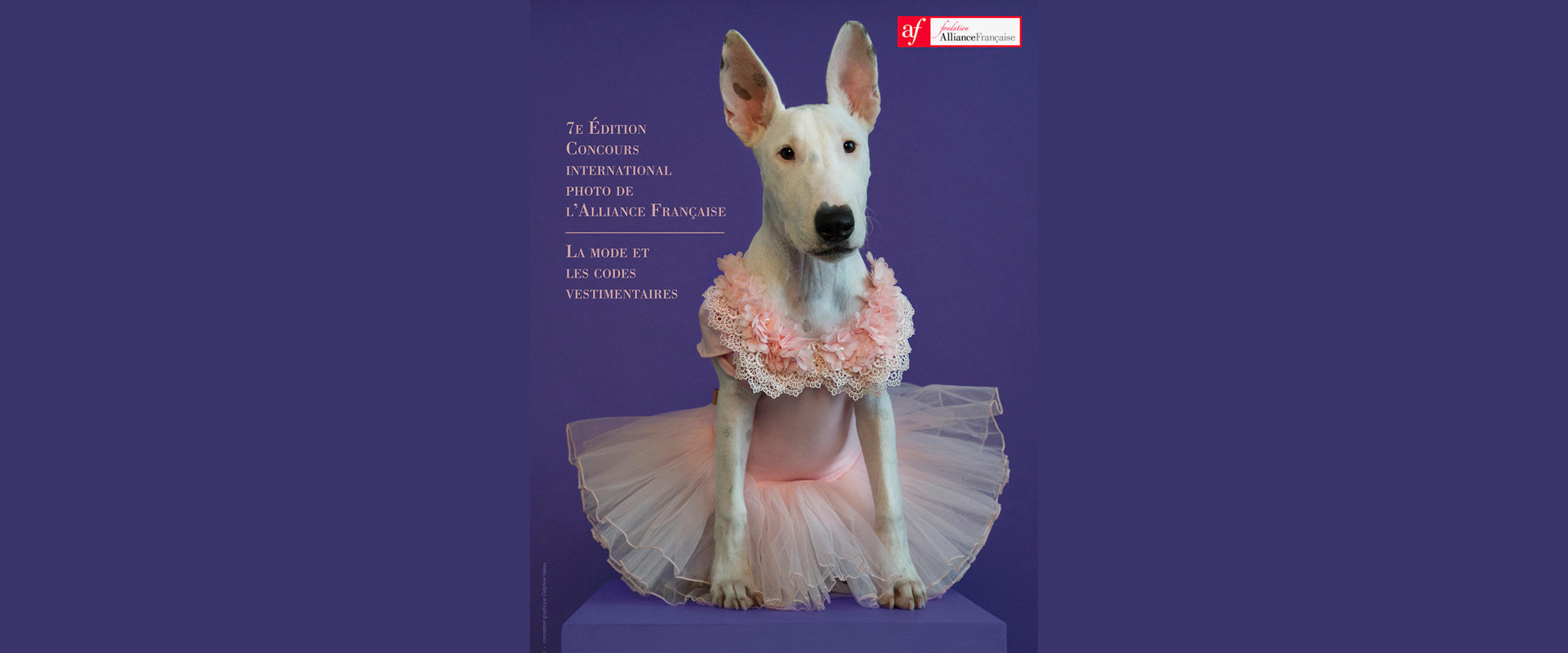 Concurso internacional