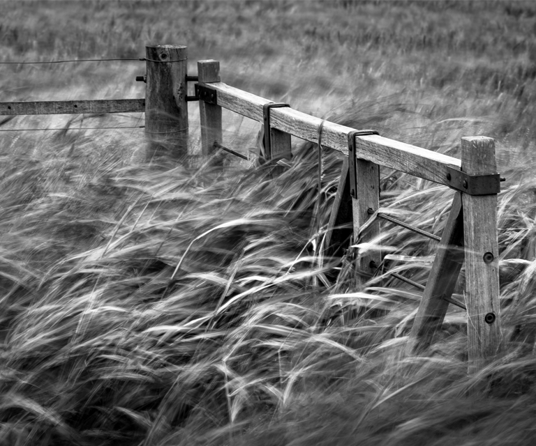 AEVUM - en blanco & negro