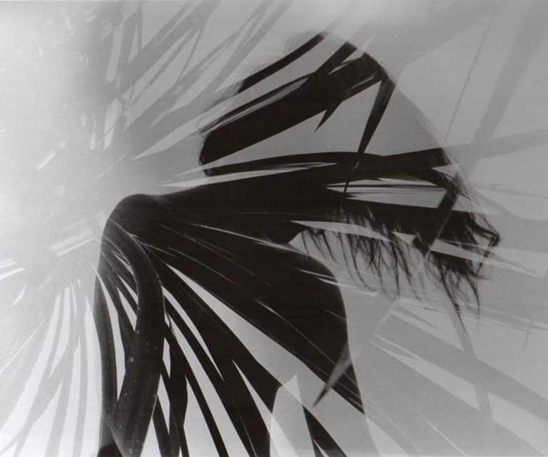 Muestra Fin de A&ntilde;o