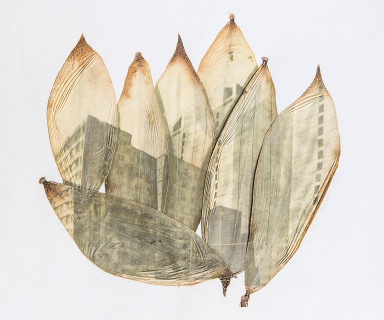 Festival de la Luz 2016