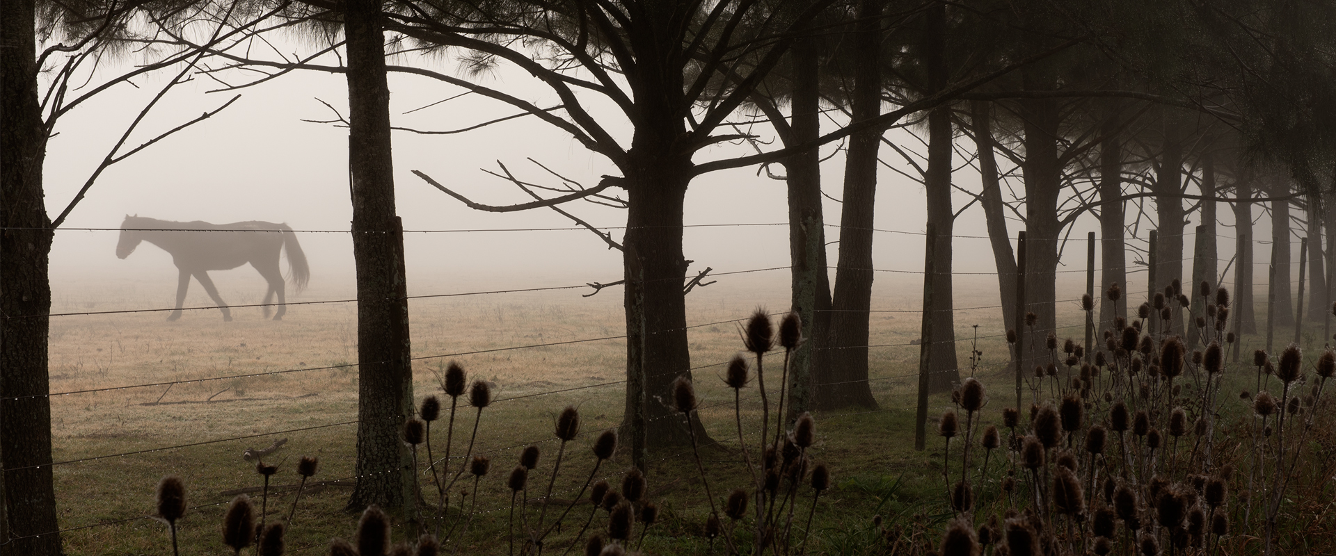 CONVOCATORIA A EXPONER 2025