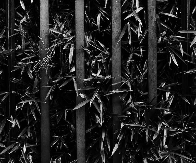 Las cosas que no pasan y son verdad