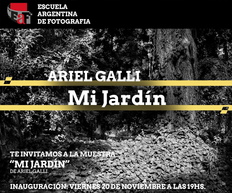Mi Jard&iacute;n