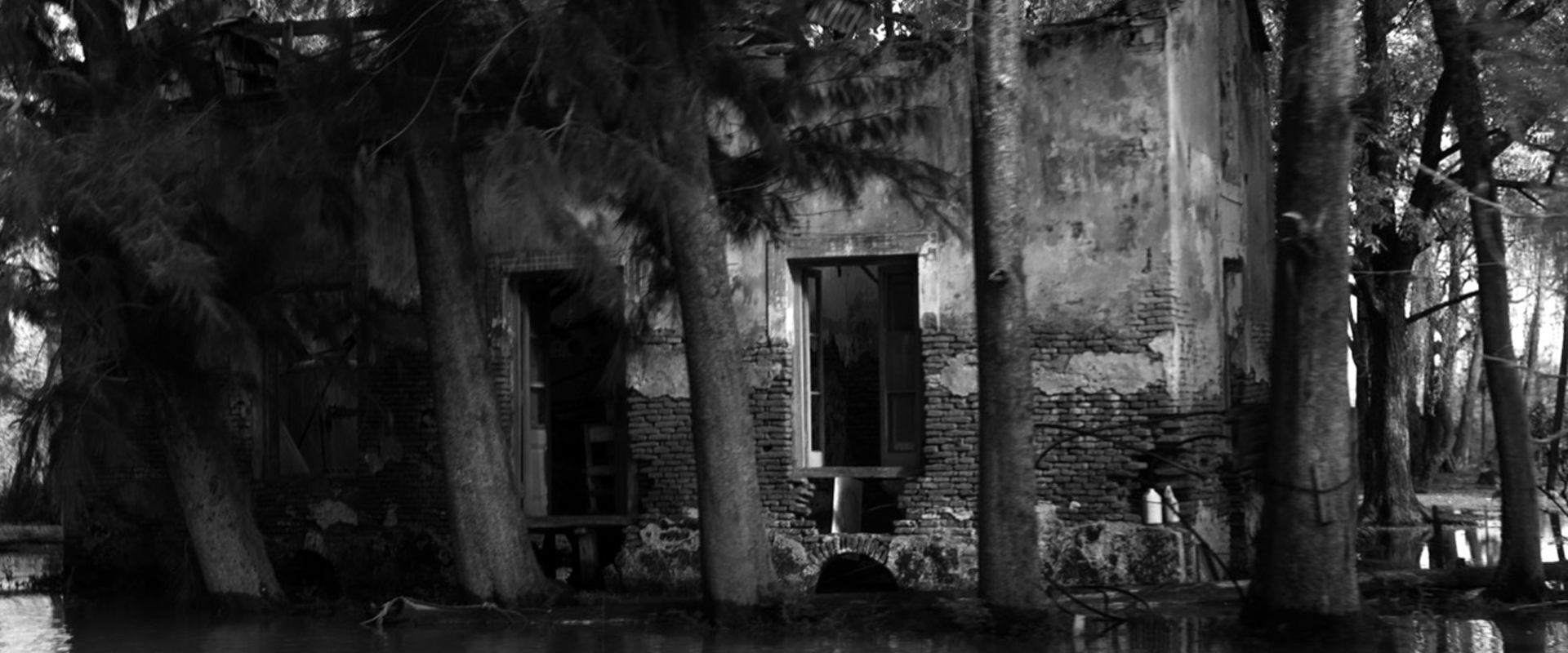 Inauguraci&oacute;n exposici&oacute;n "El Delta Interior"