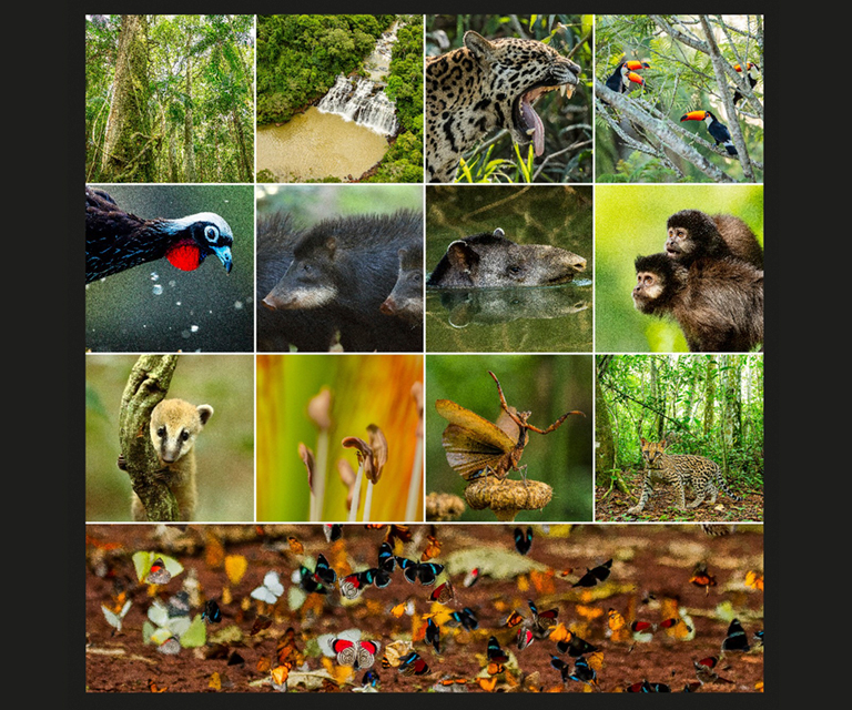 Muestra fotogr&aacute;fica a Cielo Abierto