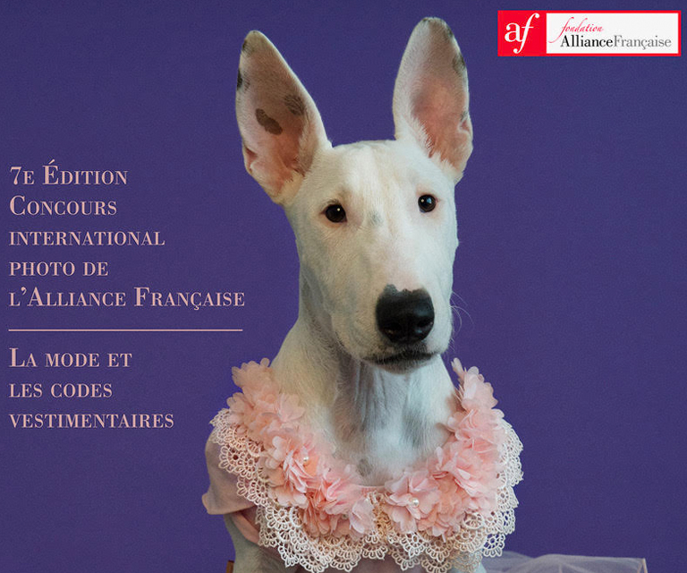 Concurso internacional